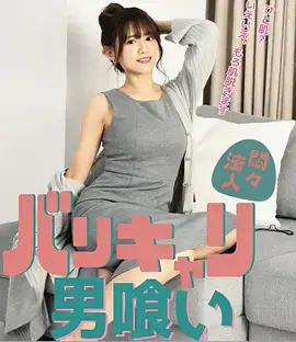 归途有风 都市剧全集免费